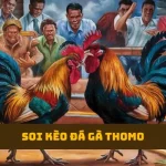 Soi Kèo Đá Gà Thomo
